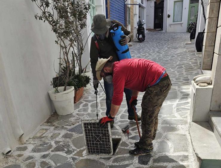 Νάξος: Άρχισαν οι απεντομώσεις και οι μυοκτονίες στα φρεάτια του νησιού