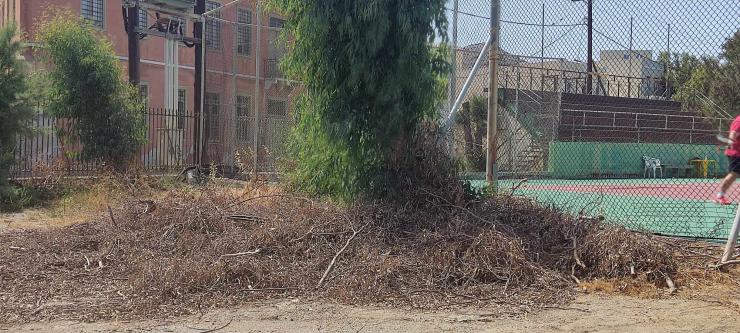 Ξερά χόρτα σε κρίσιμα… σημεία 