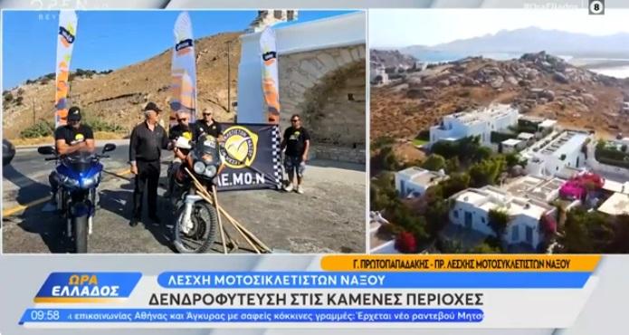 Νάξος: Πρωτοβουλία για δενδροφύτευση σε καμένες εκτάσεις - Σε δράση η ΛΕΜΟΝ