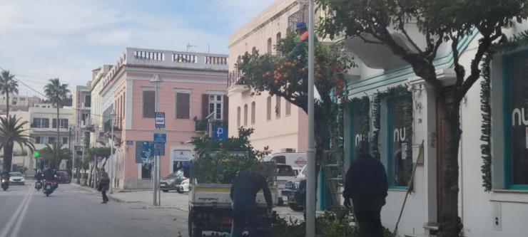 Πράσινη… ανάσα στον δρόμο της Νικηφόρου Μανδηλαρά 