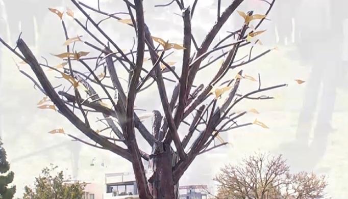 Δήμος Αθηναίων: To Δέντρο των Ψυχών – Τα αποκαλυπτήρια του μνημείου για τα Τέμπη