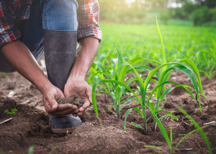 Σε λειτουργία η πλατφόρμα για την επιστροφή ΦΠΑ στους αγρότες 