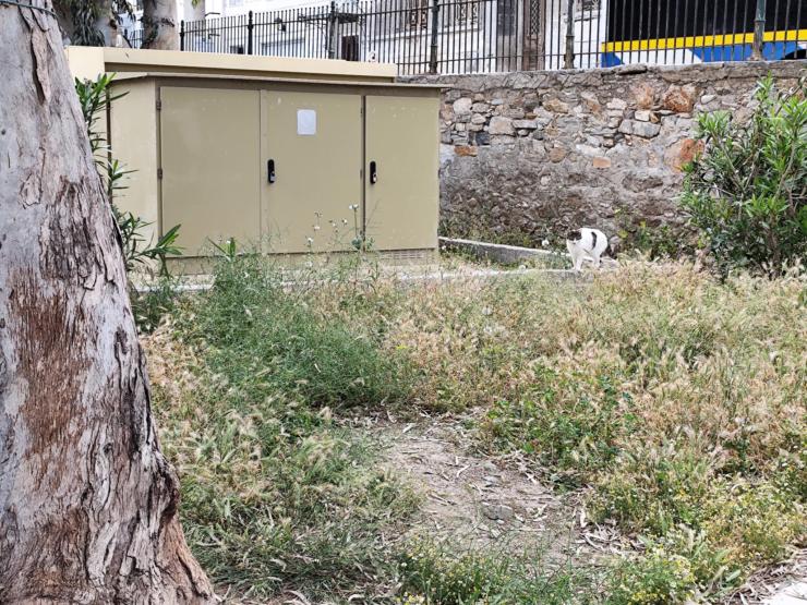 “Πνιγμένο” στα χόρτα το κηπάριο στα Βαπόρια 