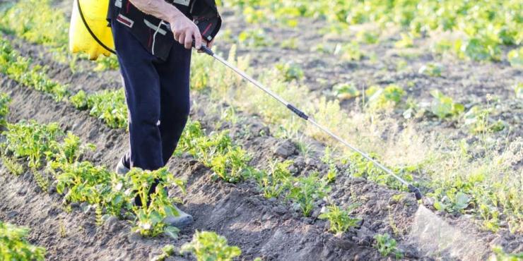 Reuters: Το 25% των φυτοφαρμάκων στην Ελλάδα είναι παράνομα