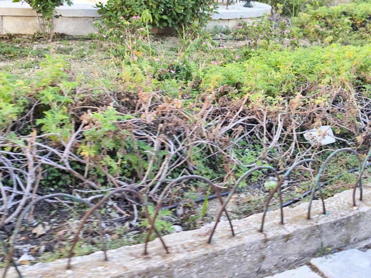 Ανυπαρξία φροντίδας για την πλατεία Ηρώων 