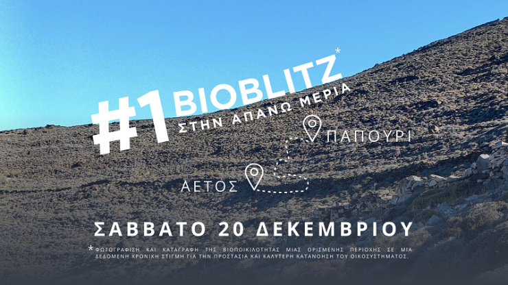 ΚΟΙΝΣΕΠ Απάνω Μεριά: 1ο Bioblitz σε Παπούρι και Αετό