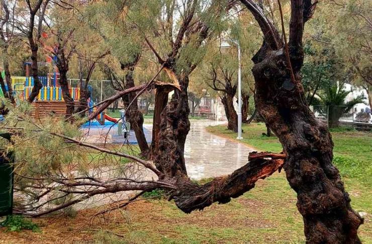 Σύρος: Κλειστή η παιδική χαρά στο Αθλητικό Κέντρο - Έσπασαν κλαδιά από δέντρα