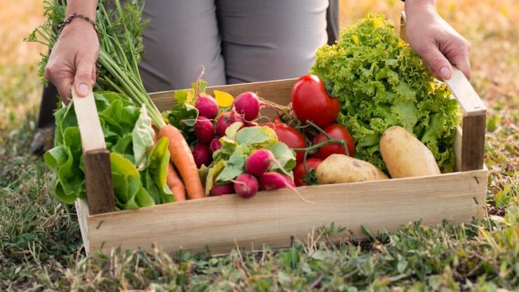 Βιολογική γεωργία: Άρχισαν οι αιτήσεις για τα βραβεία της ΕΕ 2026