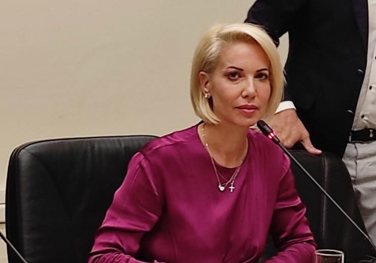 Βουλή: Η Κατερίνα Μονογυιού για την παράταση της Κτηματογράφησης