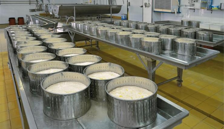 Λέσβος: Αρχίζουν οι παραλαβές γάλακτος – Ανοίγουν τα τυροκομεία