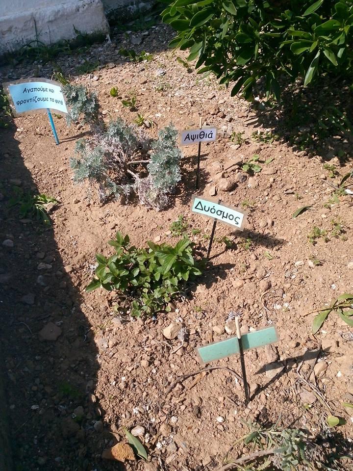 Μικροί οικολόγοι