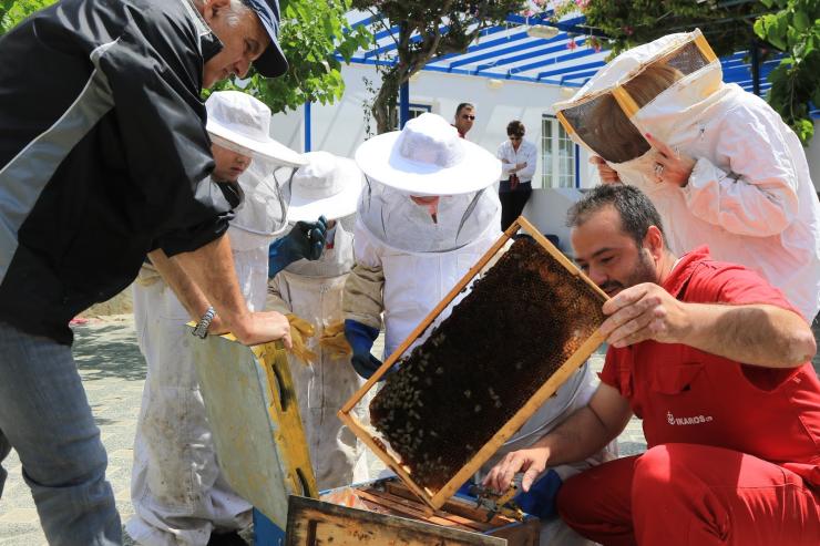 Έγιναν Μικροί Μελισσοκόμοι