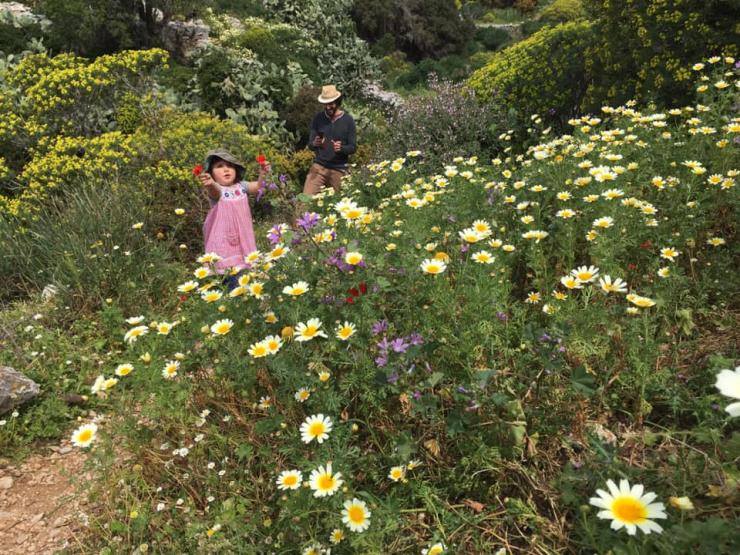 Άνθρωπος και Φύση: ενωμένοι ή διαφορετικοί;
