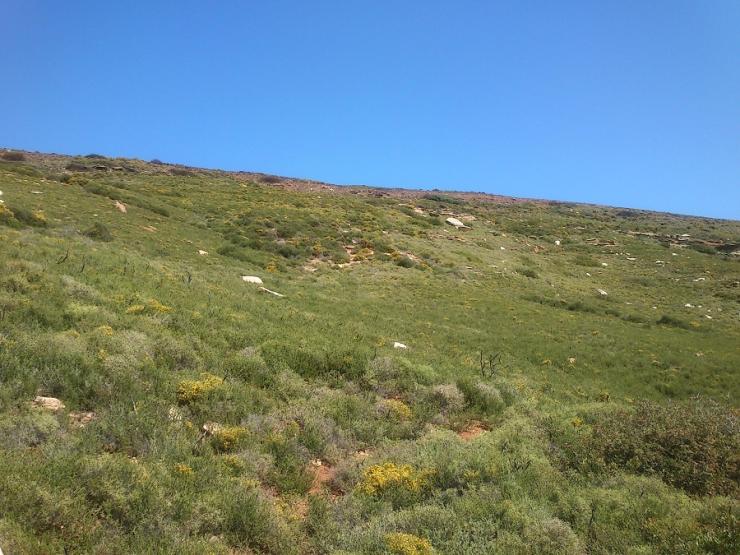 "Όταν χάνεται το μέτρο και μαζί του χάνεται και η ψυχραιμία"