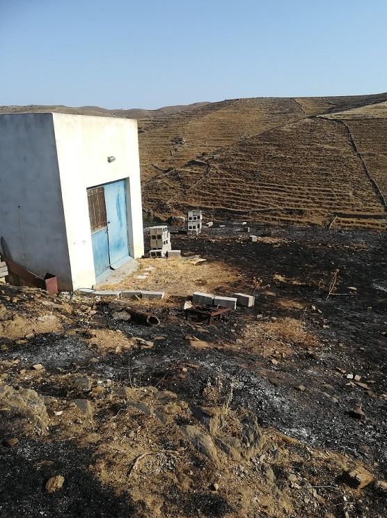 Σύλληψη για την πρόκληση πυρκαγιάς στην Κύθνο