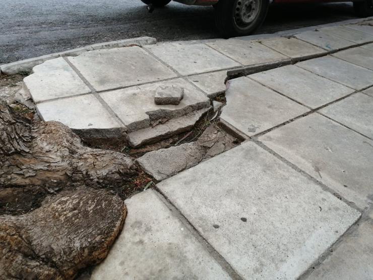 «Ρίζωσε» το πρόβλημα 