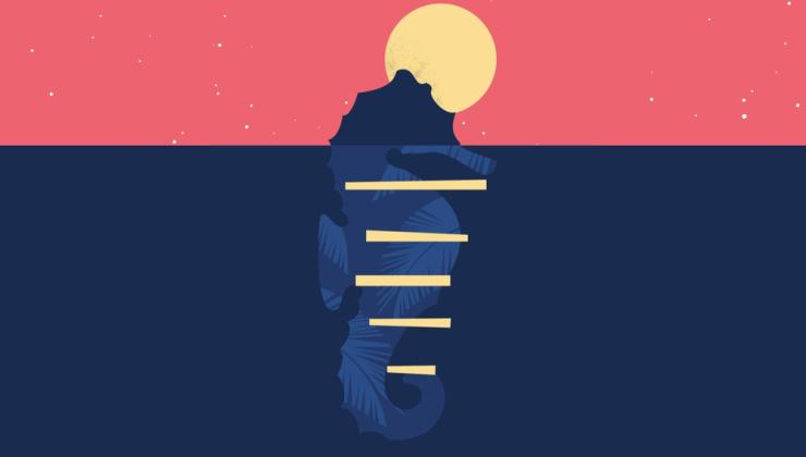 10ο Φεστιβάλ Κινηματογράφου Αιγαίου