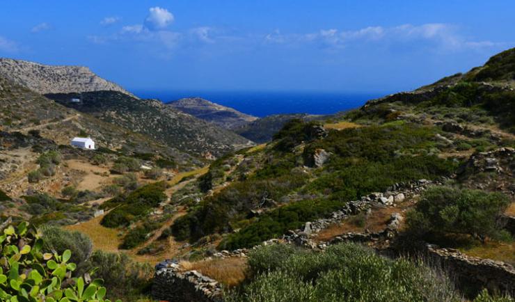 Στο επίκεντρο η καταγραφή της βιοποικιλότητας στη Σίκινο