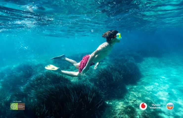 Εκστρατεία για τα υποθαλάσσια λιβάδια της Ποσειδωνίας