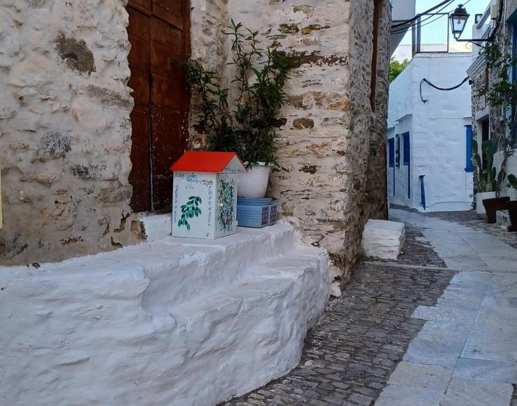 Άνω Σύρος: Ολοκλήρωση της δράσης των ελεύθερων δανειστικών βιβλιοθηκών