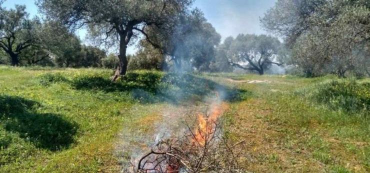 Νότιο Αιγαίο: Απαγόρευση καύσης λόγω ισχυρών νοτίων ανέμων και υψηλών θερμοκρασιών