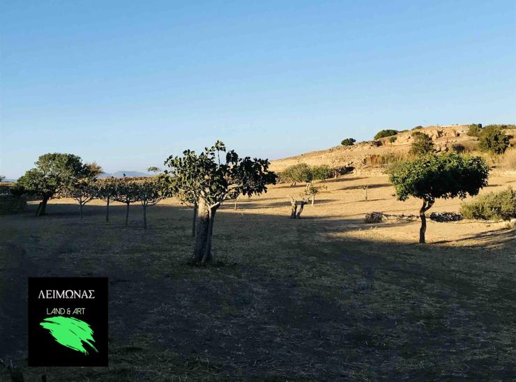 Με στόχο τη διατήρηση των παραδόσεων