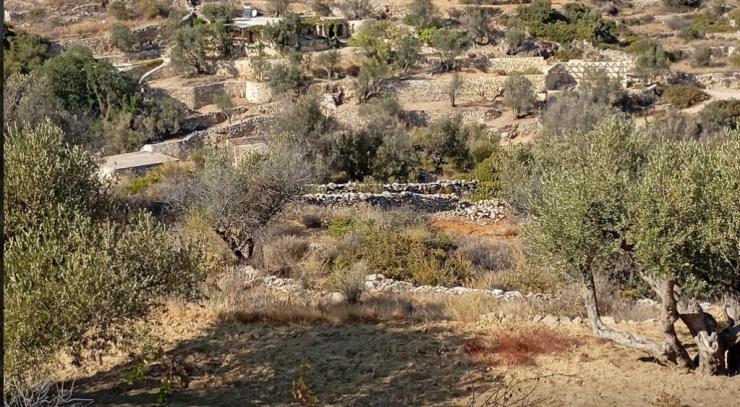 Με στόχο την προστασία του νησιωτικού περιβάλλοντος
