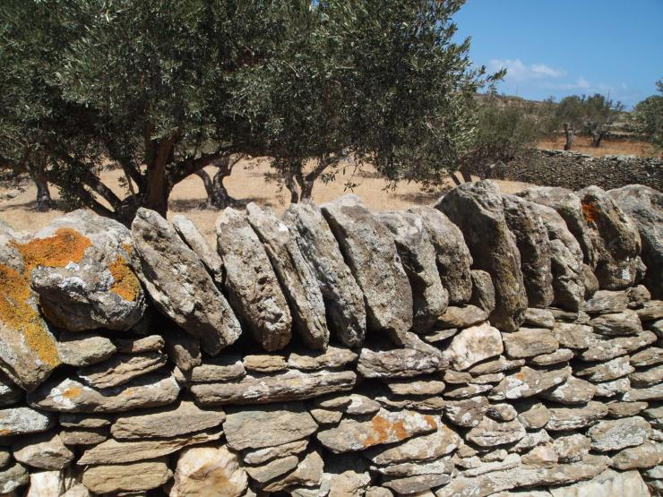 Πρακτική βασισμένη στη φύση
