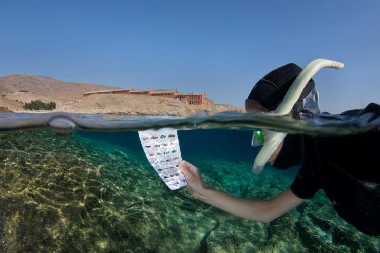 Σε άμεσο κίνδυνο η Γυάρος