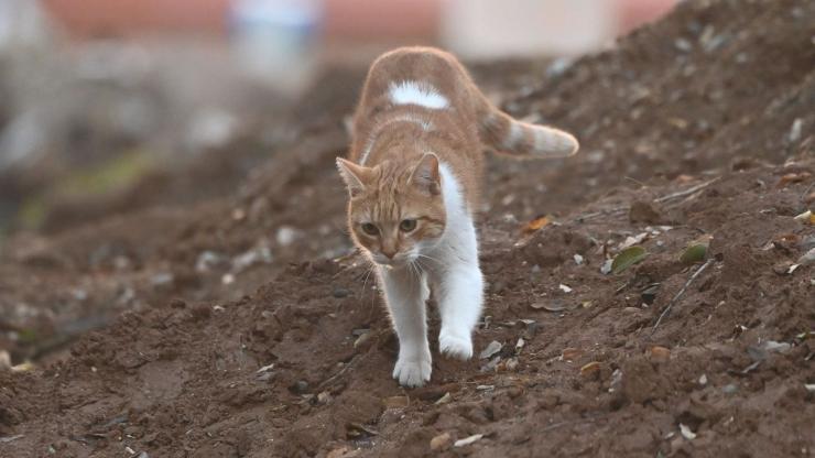 "Καταδικαστέες ενέργειες"