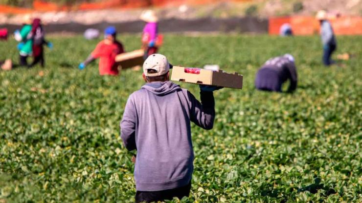 Νομοσχέδιο για τη νόμιμη μετανάστευση: Πώς ανοίγει ο δρόμος για την κάλυψη 200.000 θέσεων εργασίας