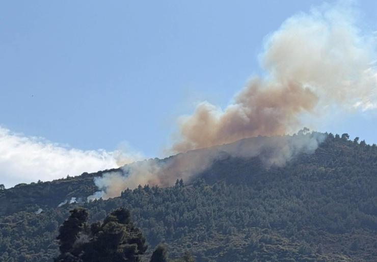 Αχαΐα: Πυρκαγιά σε δασική έκταση στην Άμπελο, στάλθηκε 112 στους κατοίκους της περιοχής