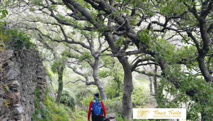 «Μεγάλη δυναμική για το νησί»