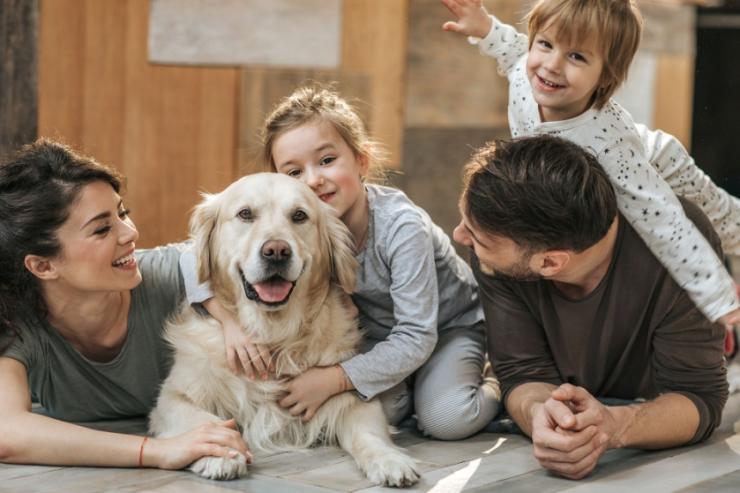 Διαμαρτυρία του Κυνοφιλικού Ομίλου Σύρου 