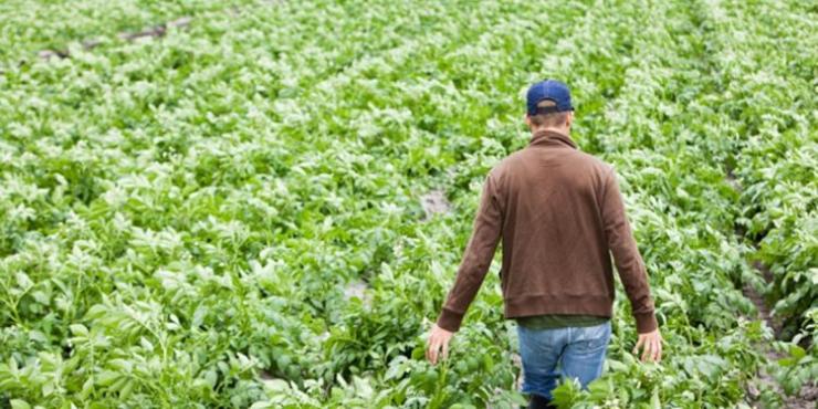 Αποβάλλουν τους νέους αγρότες επειδή… σπουδάζουν