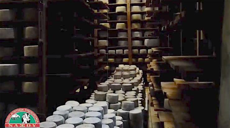 Το Γραβιερονησί των Χριστουγέννων