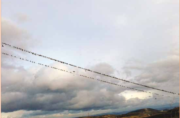 Η φωτογραφία της ημέρας