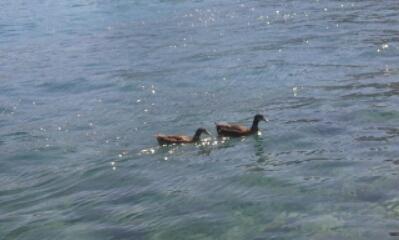 Η φωτογραφία της ημέρας