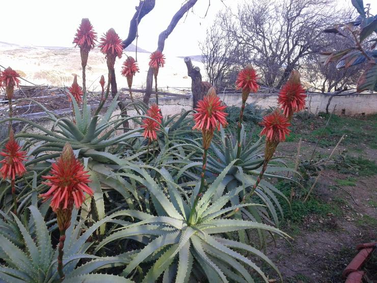 Η φωτογραφία της ημέρας