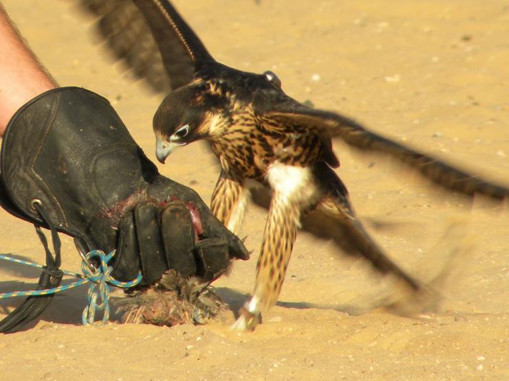 Η φωτογραφία της ημέρας
