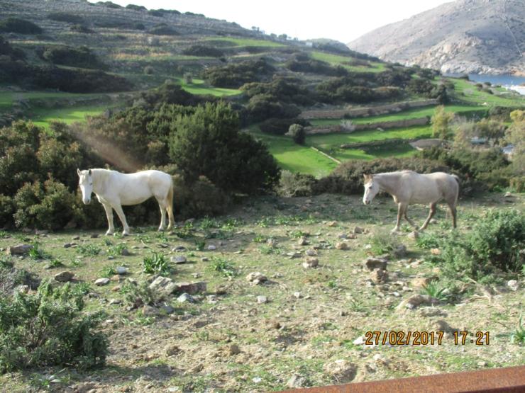 Η φωτογραφία της ημέρας