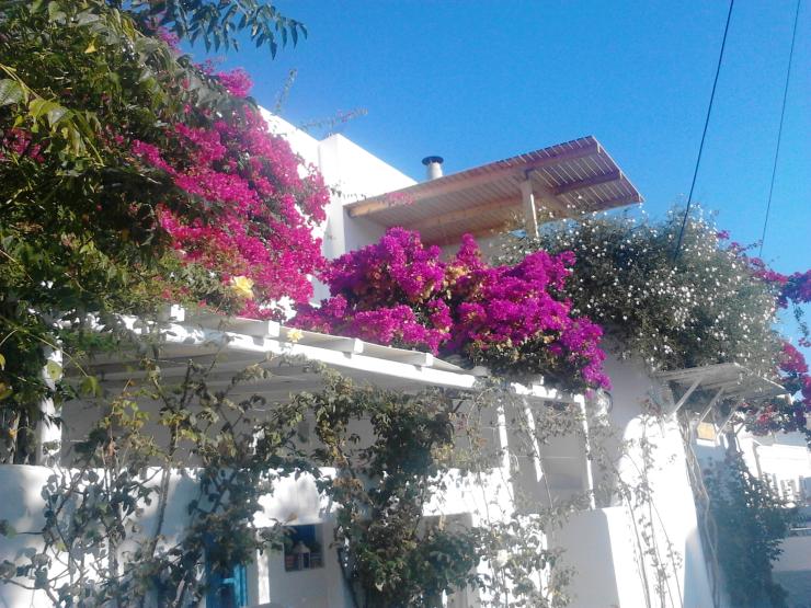 Η φωτογραφία της ημέρας