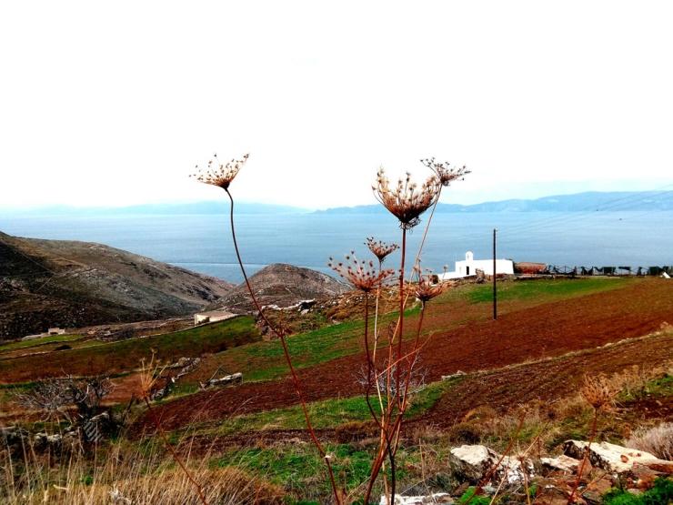 Η φωτογραφία της ημέρας