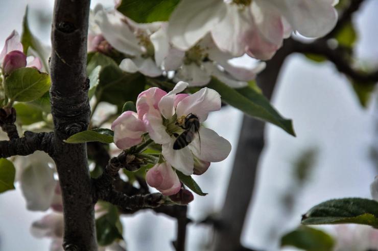 Η φωτογραφία της ημέρας