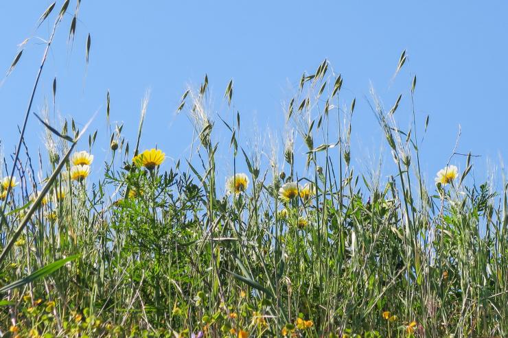 Η φωτογραφία της ημέρας