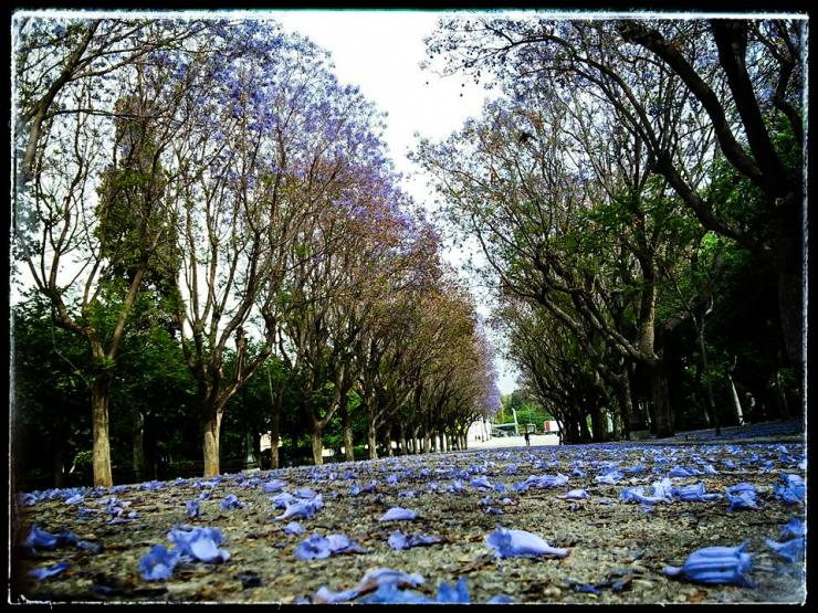 Η φωτογραφία της ημέρας