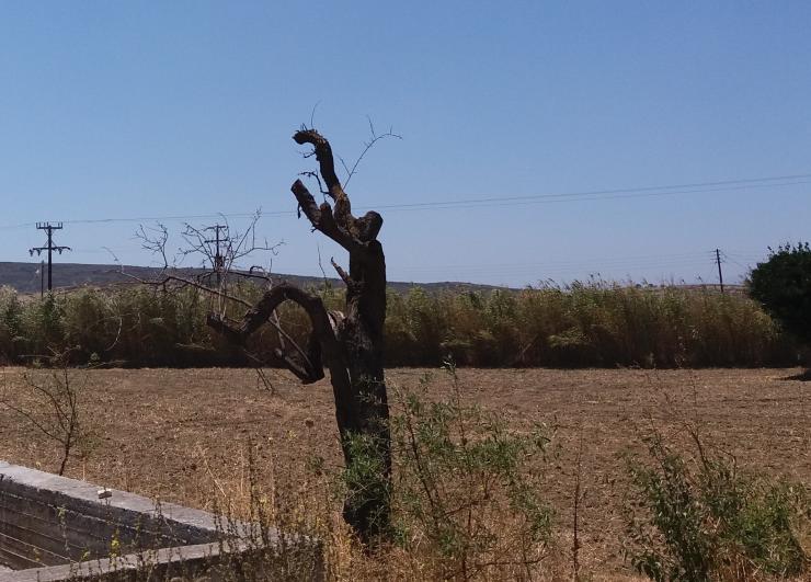Η φωτογραφία της ημέρας
