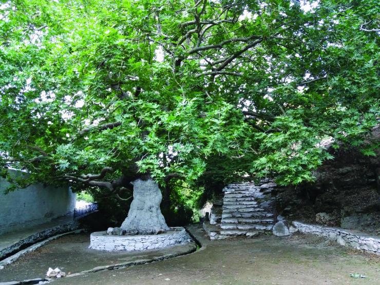 Η φωτογραφία της ημέρας