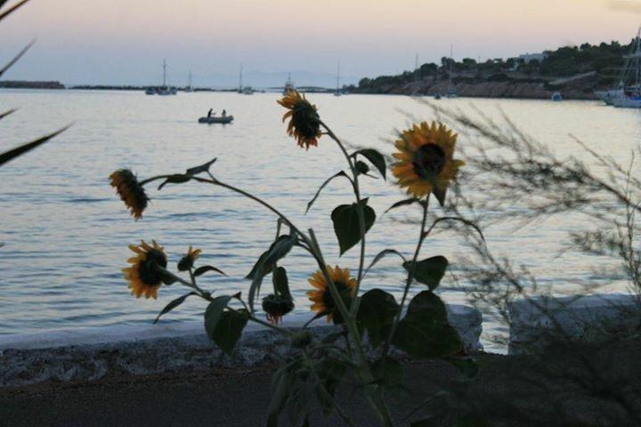 Η φωτογραφία της ημέρας