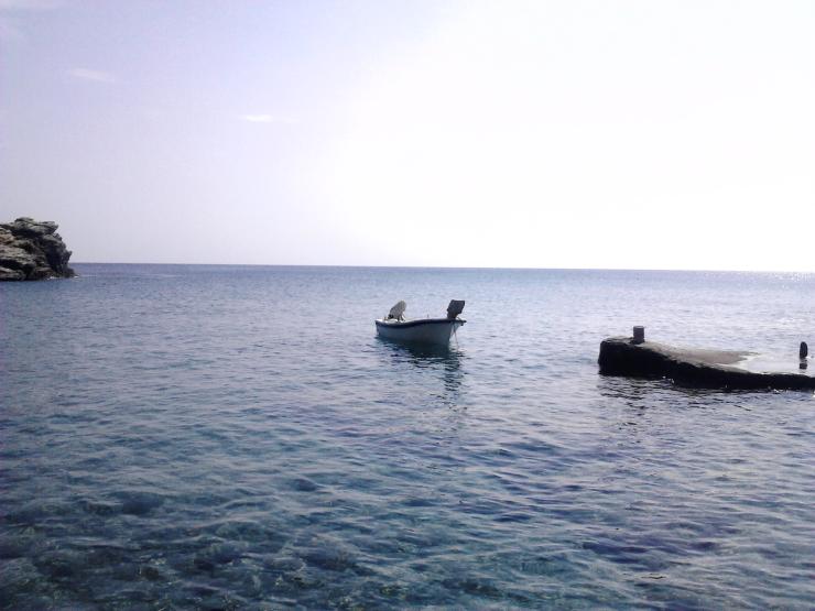 Η φωτογραφία της ημέρας